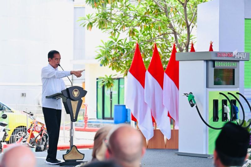 Jokowi berharap produktivitas dan kualitas tebu meningkat