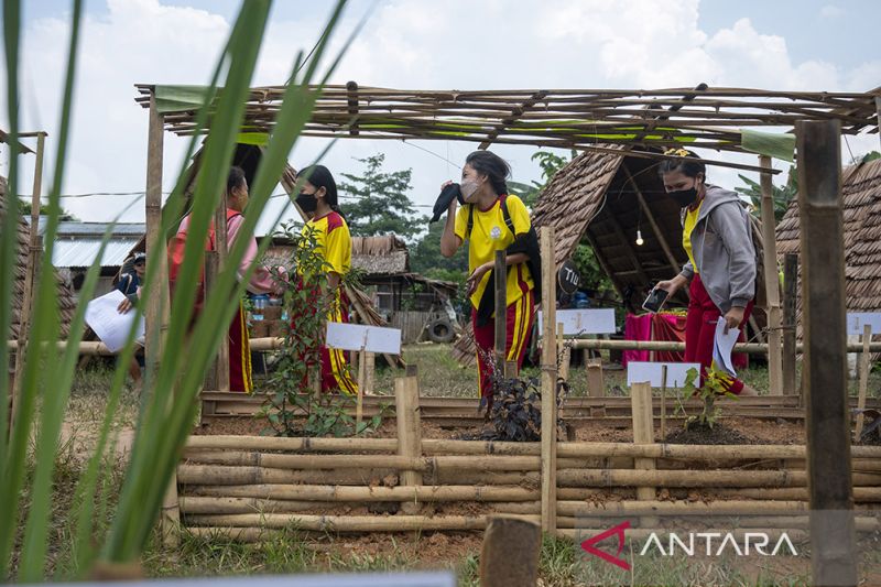 Pengenalan Apotik Hidup pada Pelajar