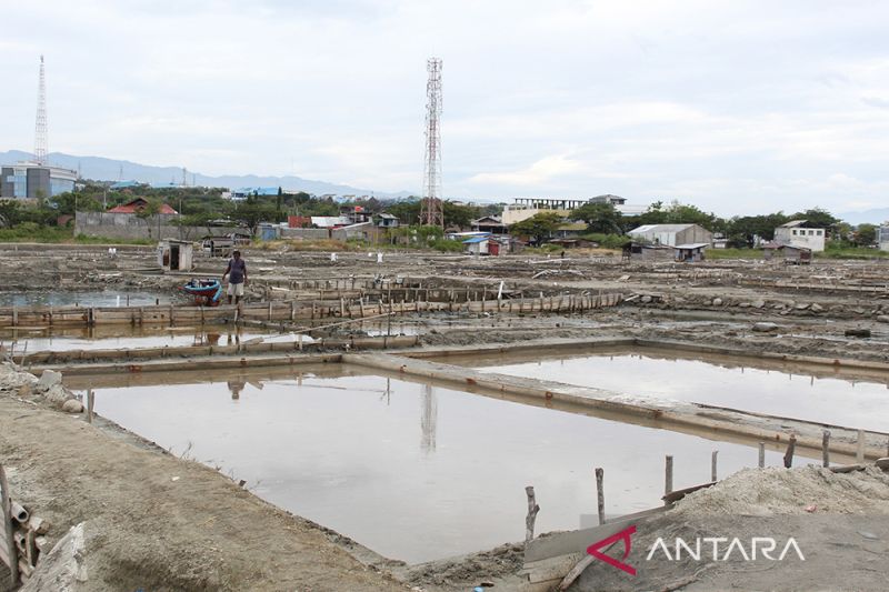 Target Pemenuhan Kebutuhan Garam Nasional