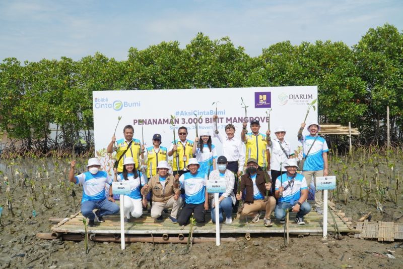 Bulbali menanam 3000 bibit mangrove di Semarang