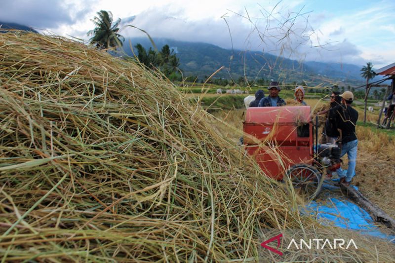 Target Penambahan Sejuta Petani Milenial