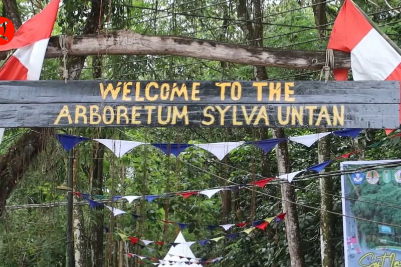 Tunjuk.id - Arboretum Sylva Untan Jadi Pusat Eduekowisata Hutan Untuk ...