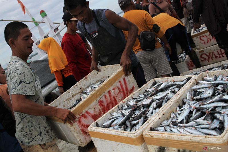 DAMPAK CUACA HARGA IKAN NAIK DI KENDARI