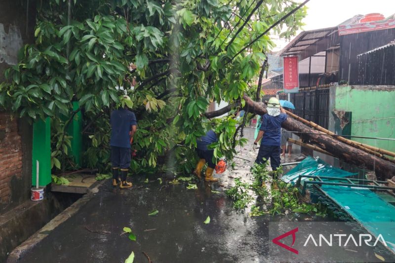 BMKG perkirakan DKI Jakarta hujan sejak pagi hingga siang