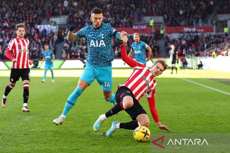 Bermain imbang 2-2, Tottenham dan Brentford berbagi satu poin