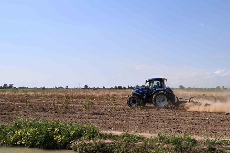 Cuaca ekstrem berdampak serius pada produksi pertanian di Italia