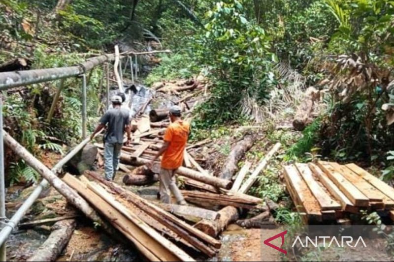 Polisi hutan mencari penebang liar di Gunung Langkuas Bintan