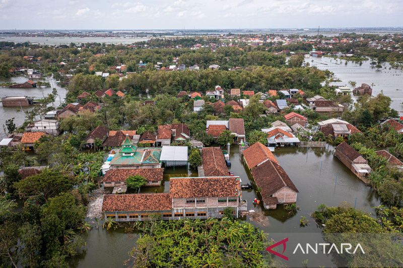 Banjir Merendam 103 Desa Dan 14 Kecamatan Di Kabupaten Demak - ANTARA News