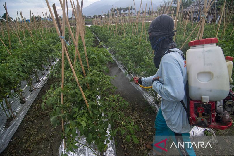 KenaikanNilai Tukar Petani Selama 2022