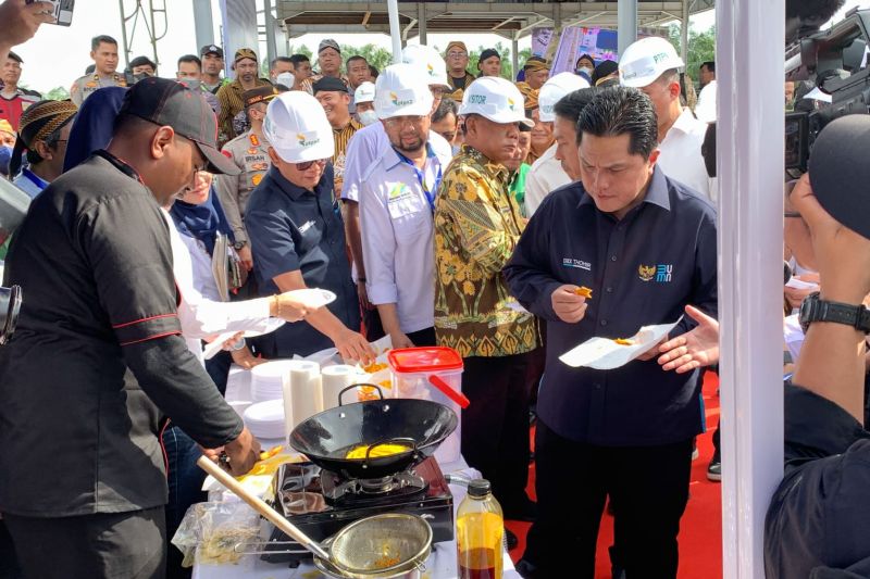 Menteri BUMN Tinjau Progress Pembangunan Pabrik Minyak Makan Merah di Sumatera Utara