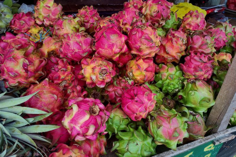 7-efek-samping-mengonsumsi-buah-naga-berlebihan