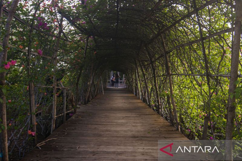 Liburan Imlek di Kawasan Hutan Kota