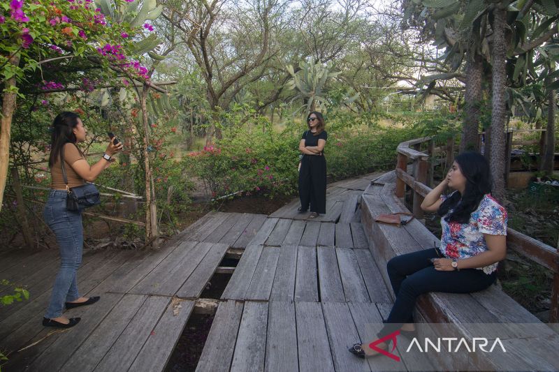 Liburan Imlek di Kawasan Hutan Kota