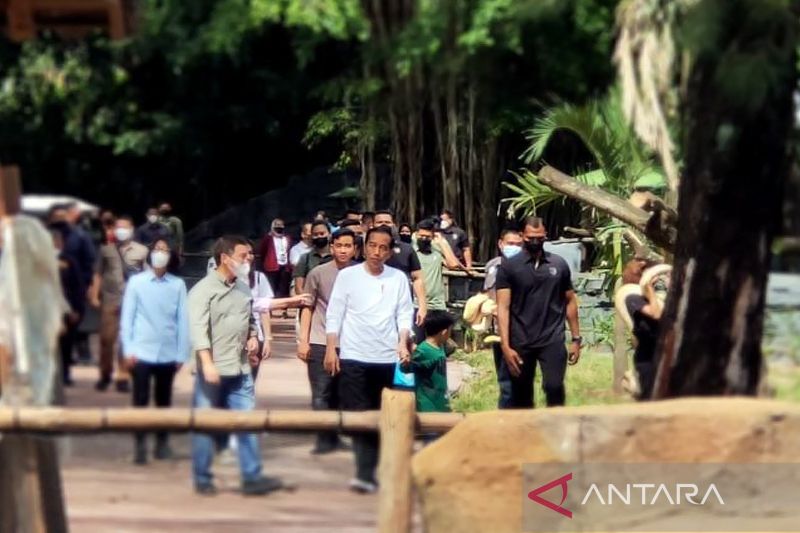 Presiden Jokowi bersama keluarga kunjungi Solo Safari di Jurug