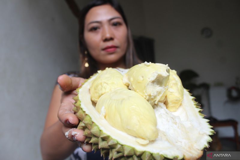 Ini kata ahli gizi soal mitos durian tinggi kolesterol
