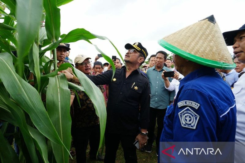 Mentan Yasin Limpo dorong petani Konawe Selatan budi daya sorgum