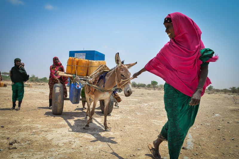 Perserikatan Bangsa-Bangsa: 22,6 juta orang Etiopia tidak aman pangan
