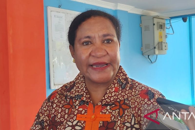 KPU segera tetapkan dapil tiga DOB Papua