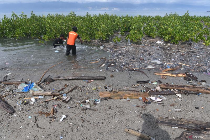 SAMPAH ANCAM MANGROVE