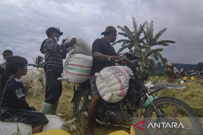 Kenaikan harga pembelian beras dan gabah