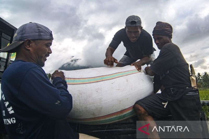 Kenaikan harga pembelian beras dan gabah