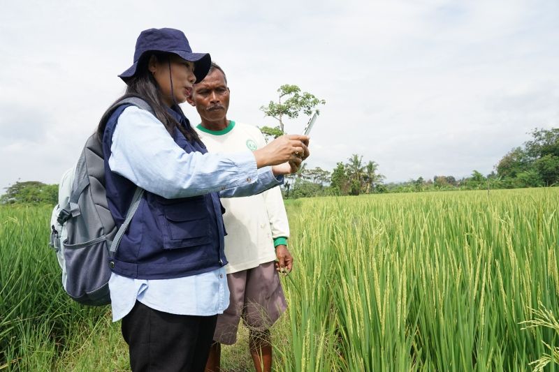 Indonesia launches national strategy for digitizing agriculture - ANTARA  News