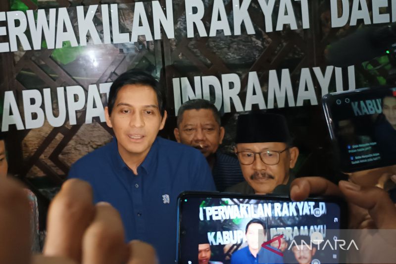 segini-total-kekayaan-lucky-hakim-calon-bupati-indramayu-menurut-lhkpn