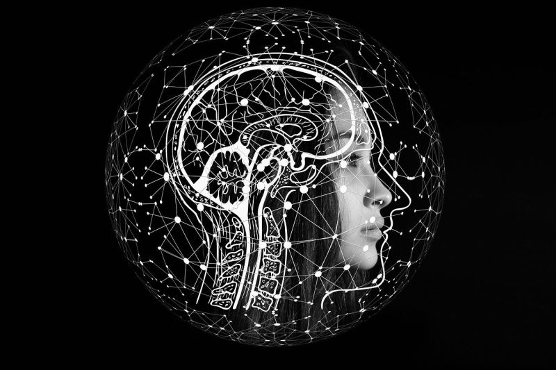 Sel otak manusia digunakan sebagai “kecerdasan buatan yang hidup” untuk memecahkan rumus matematika