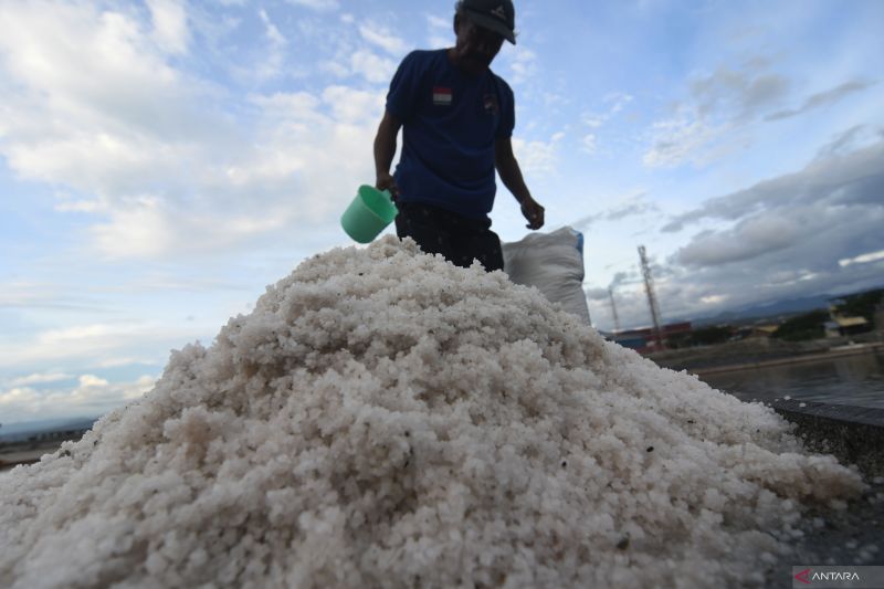 HARGA GARAM NAIK