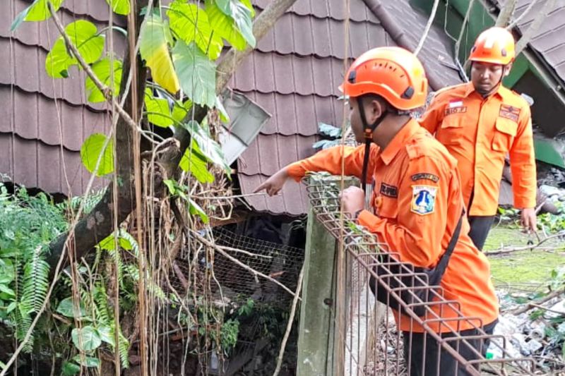 BPBD DKI sebut rugi dua rumah longsor di Tanjung Barat Rp1,5 miliar