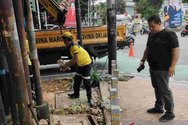 Dinas Bina Marga benahi kabel semrawut imbas pohon tumbang di Tebet