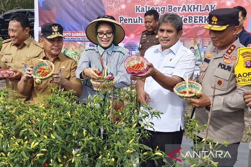 Les résidents de C Kalimantan sont encouragés à faire de l’agriculture urbaine.