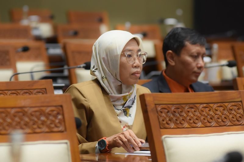 Humaniora: Anggota Komisi IX minta pemerintah upayakan pemulangan PMI korban TPPO