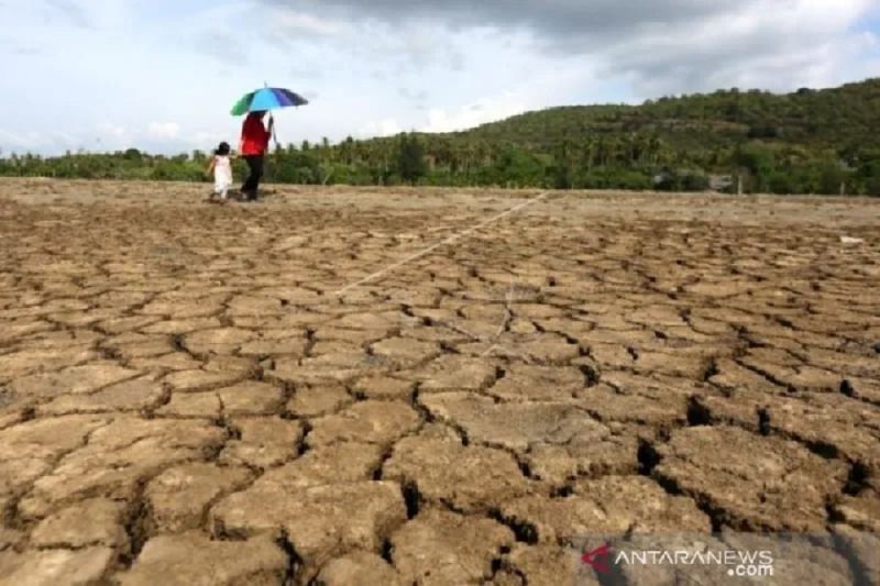 Delapan persen wilayah Indonesia memasuki musim kemarau: Badan Meteorologi