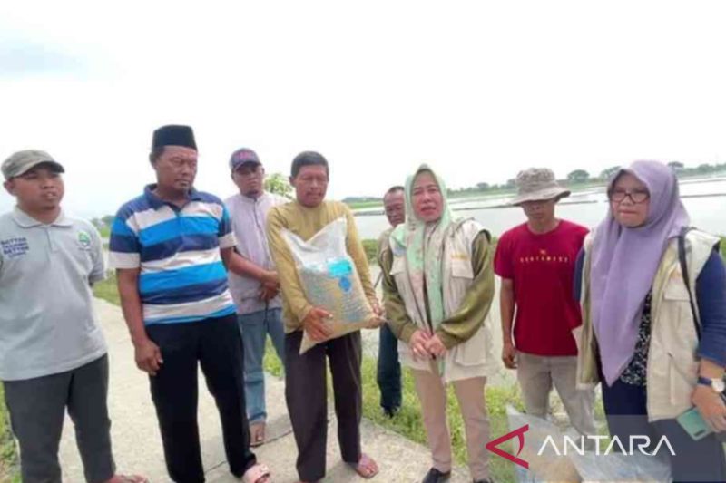 Pemkab Bekasi salurkan bantuan benih untuk petani terdampak banjir