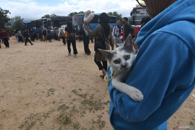 MUDIK GRATIS NASDEM SULTENG