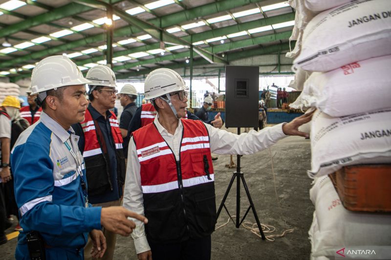 Wamen BUMN Meninjau Stok Pupuk Bersubsidi