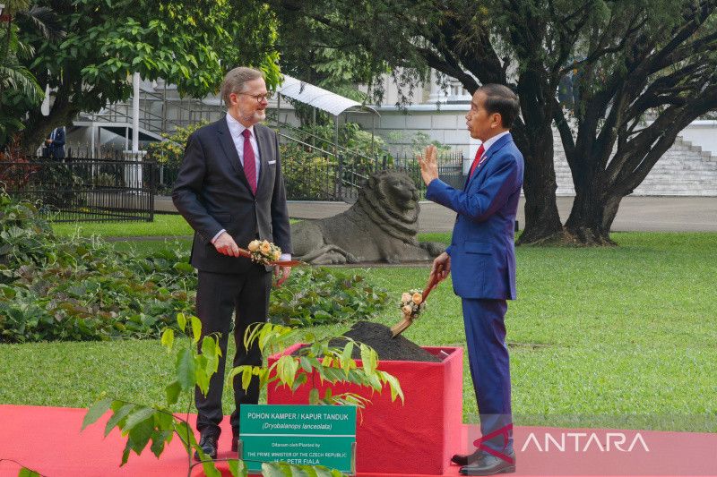 Presiden Jokowi bersama PM Ceko tanam bibit pohon kamper