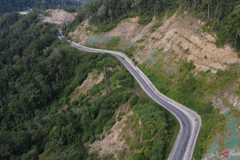 ARUS BALIK TRANS SULAWESI KEBUN KOPI