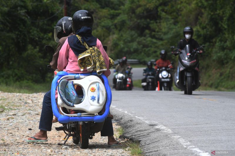 ARUS BALIK TRANS SULAWESI KEBUN KOPI