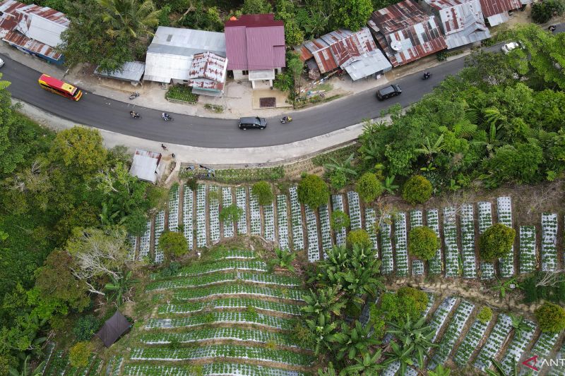 POTENSI AGROWISATA DI JALUR TRANS SULAWESI