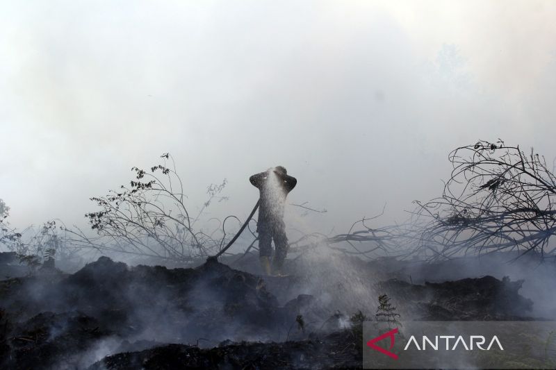 FOTO PILIHAN - Karhutla di Dumai meluas