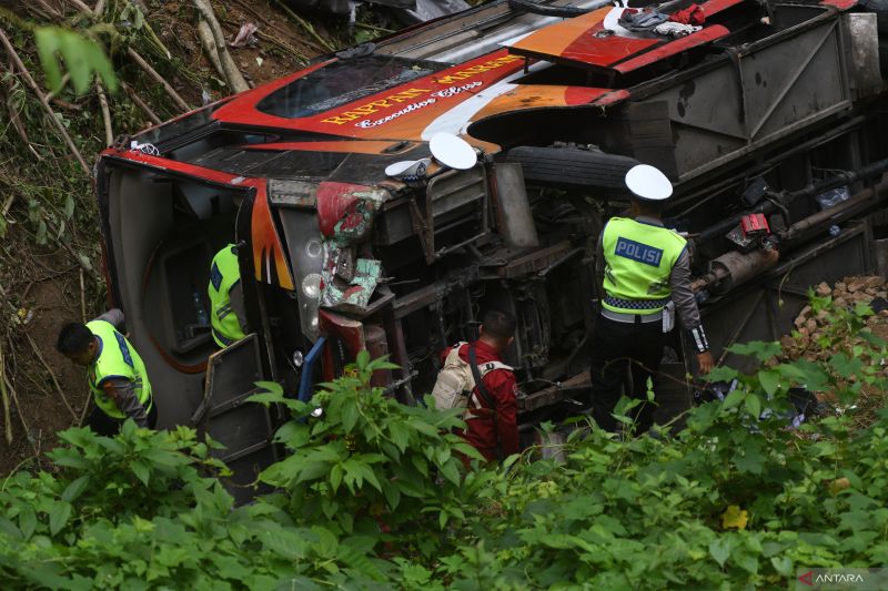 Olah TKP kecelakaan bus kebun kopi