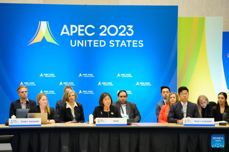 pertemuan mendag APEC