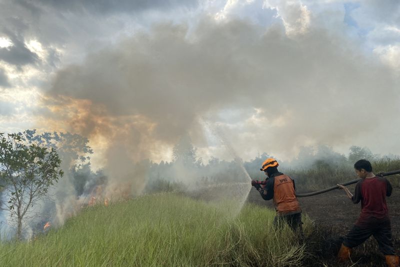 50 personel terjun tangani Karhutla di ring 1 Bandara Kalsel