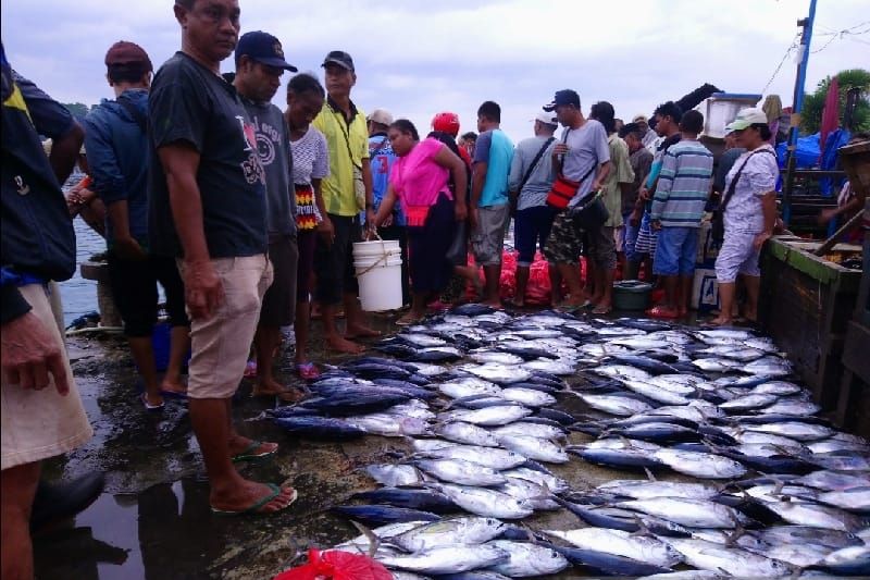 Pengamat Ekonomi dorong Pemprov Papua manfaatkan hasil KTT ASEAN