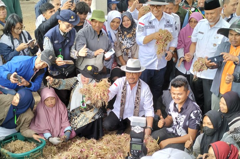 Mentan dorong pengembangan pertanian terpadu kawasan hortikultura