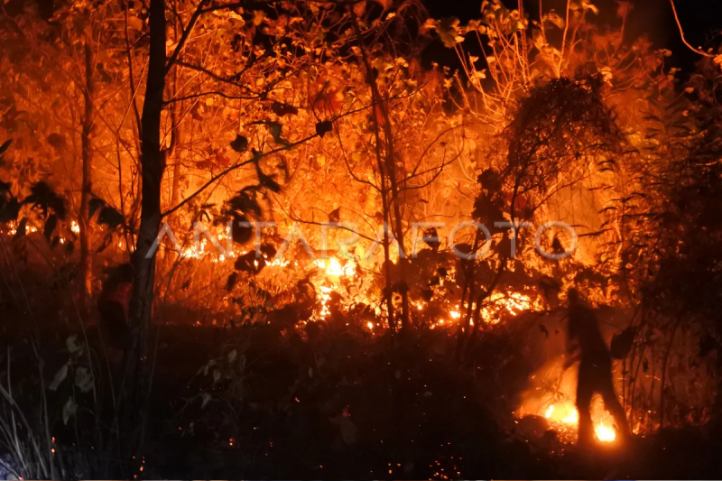 Kebakaran hutan jati milik Perhutani