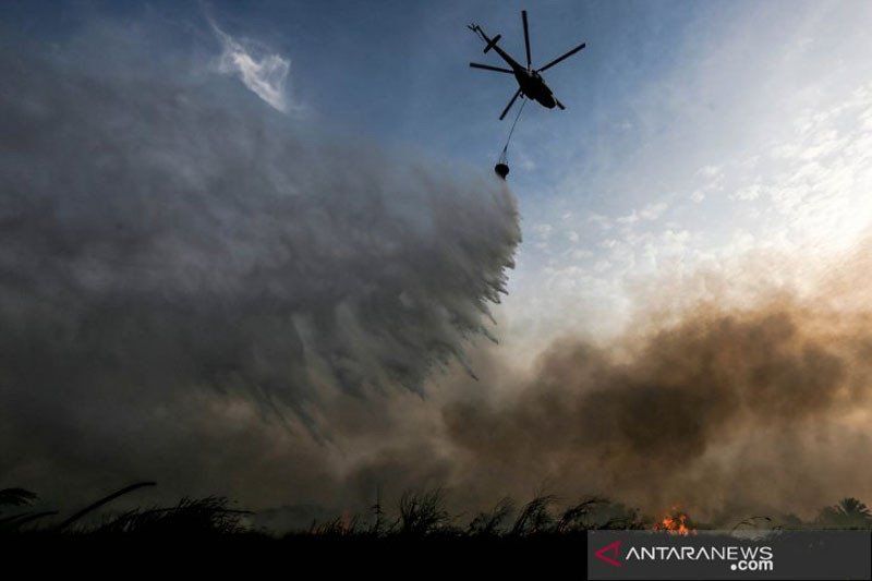 Hutan dan kebakaran hutan menghancurkan 28.000 hektar lahan di Indonesia: Pemerintah.