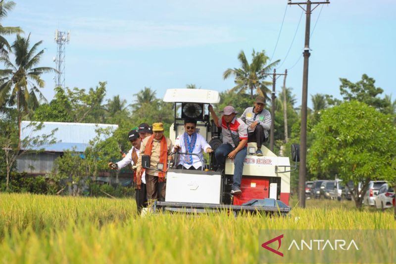 Mentan panen padi dan demonstrasi pembuatan Biosaka di Maros